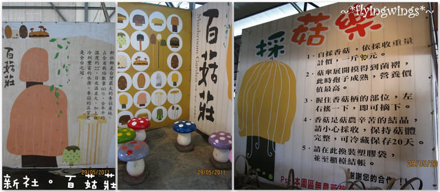 2011。05。29《食》新社。香菇大餐『百菇莊』 - 第14張圖