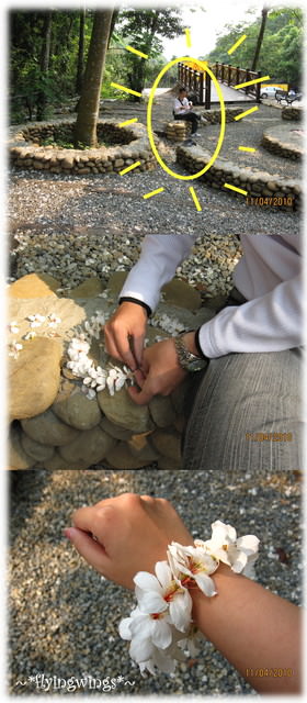 10。04。11~2010挑水古道看桐花 - 第12張圖
