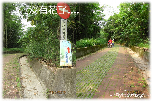 10。04。11~2010挑水古道看桐花 - 第27張圖