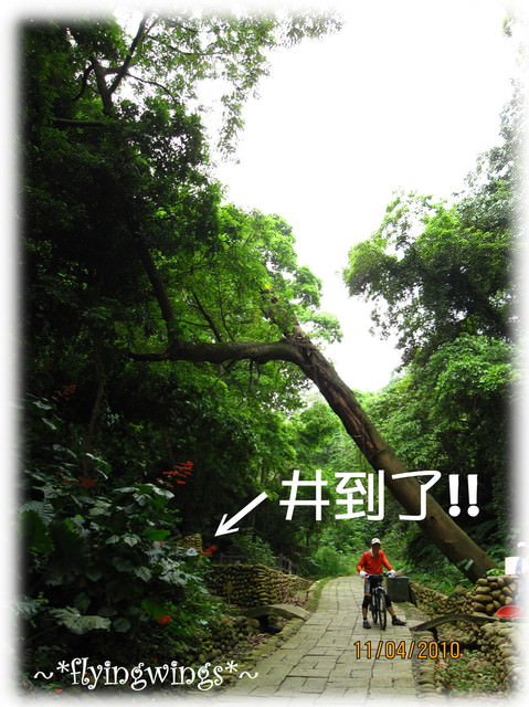 10。04。11~2010挑水古道看桐花 - 第30張圖