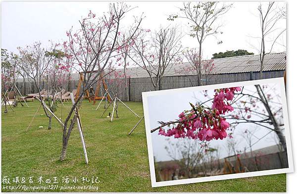 網誌用134.jpg