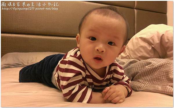 010很少在拍到趴著的照片了.jpg
