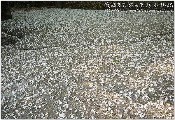網誌用263.jpg