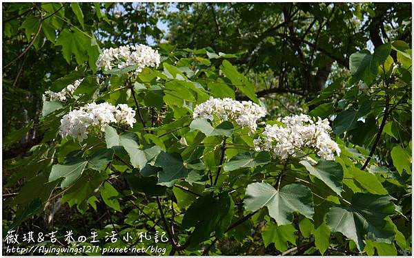 網誌用289.jpg