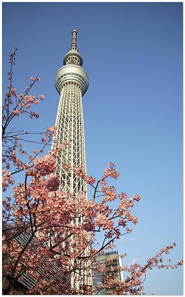 網誌用234.jpg