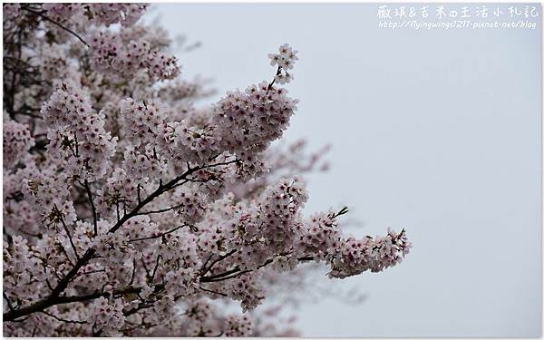 網誌用70.jpg