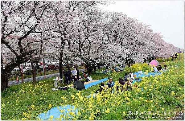 網誌用74.jpg