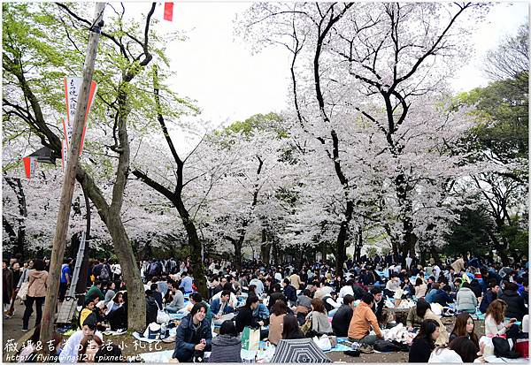 網誌用107.jpg