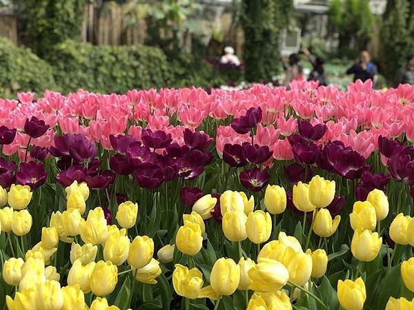 IMG_E4181.JPG