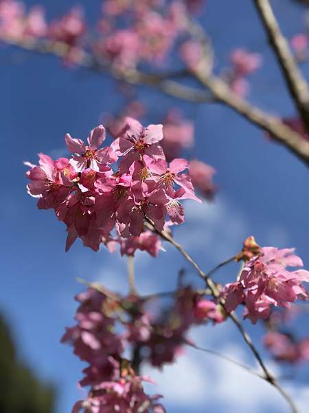 IMG_E4193.JPG