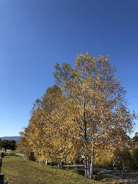 DSC_3307.JPG