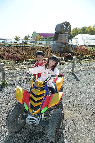 010.JPG