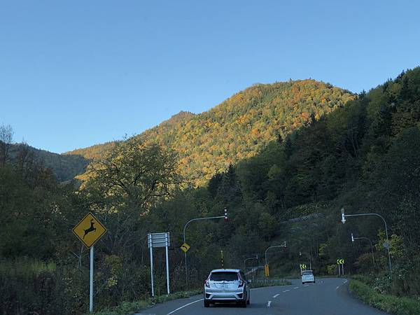 IMG_6383.JPG