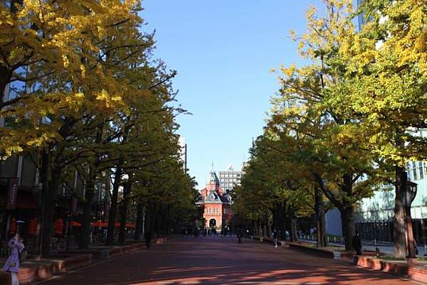 Sapporo20151024_17-700x467.jpg