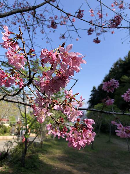 IMG_2800.JPG
