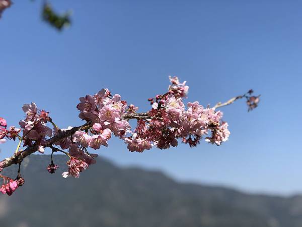 IMG_2879.JPG