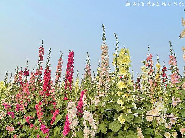 S__18227521.jpg