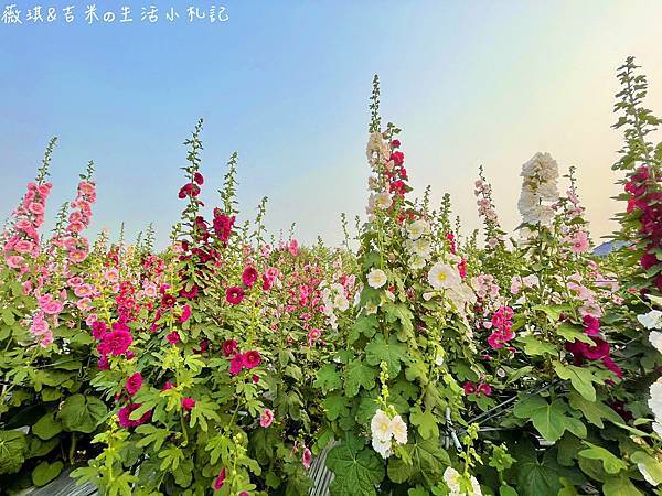 S__18227583.jpg