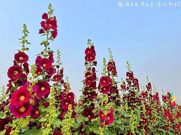 S__18227592.jpg
