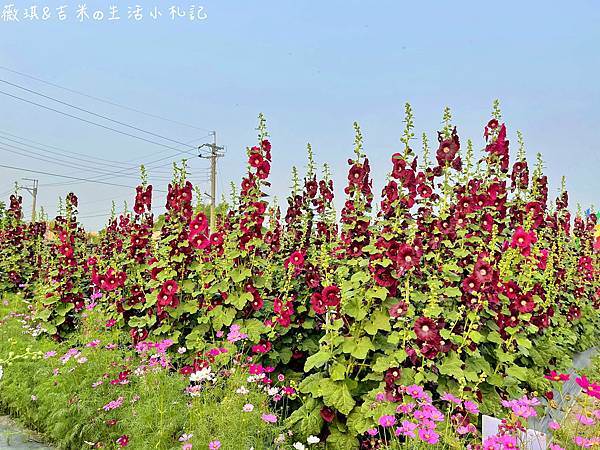S__18227602.jpg