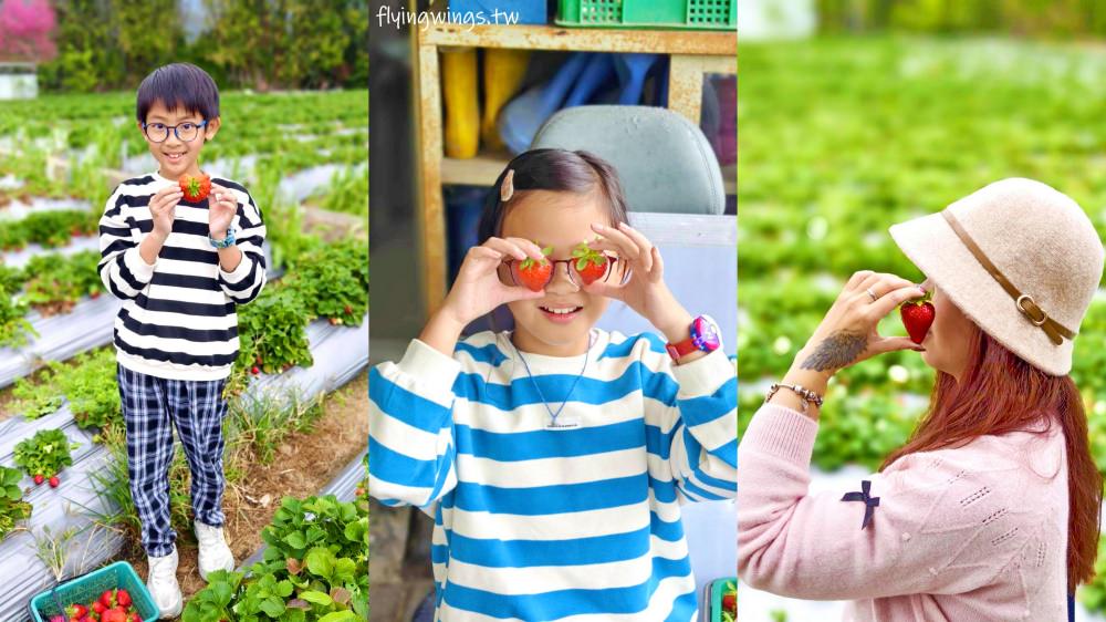 大湖草莓┃怡口軒安心莓。2025年2月最新果況，草莓又大又紅又甜，價格更是甜蜜蜜!!