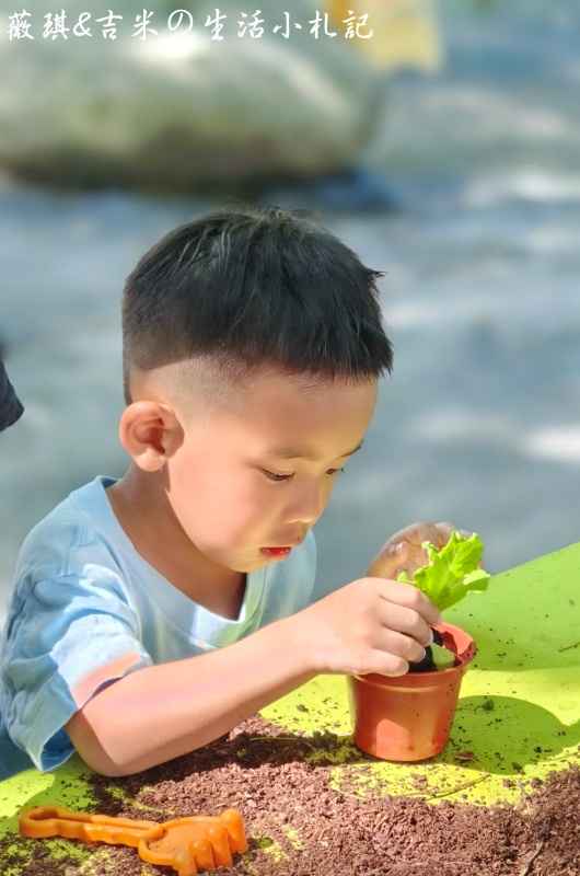 彰化溪湖┃沐卉親子農場。滾輪溜滑梯、手搖船、水滑梯、攀樹,這邊通通滿足你!!(2025/9最新版) - 第51張圖
