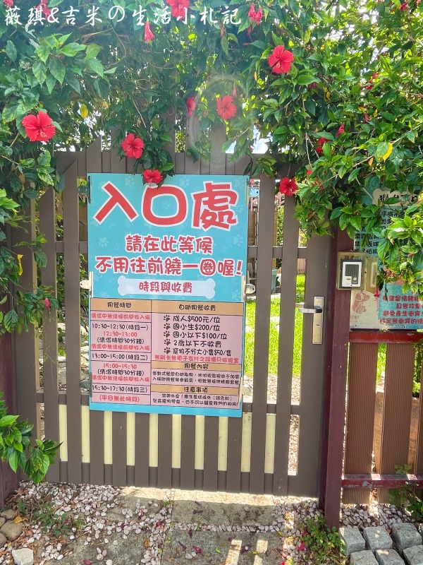 苗栗西湖┃獵犬不打獵鄉林小食光。想嚕狗勾，這邊有九隻大金毛等你來喔!