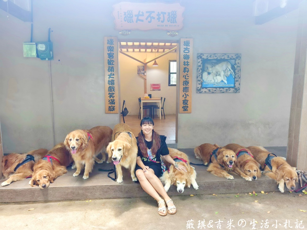 苗栗西湖┃獵犬不打獵鄉林小食光。想嚕狗勾，這邊有九隻大金毛等你來喔!