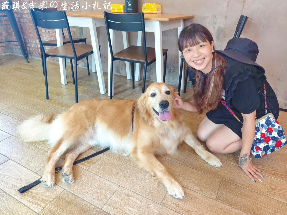 苗栗西湖┃獵犬不打獵鄉林小食光。想嚕狗勾，這邊有九隻大金毛等你來喔!