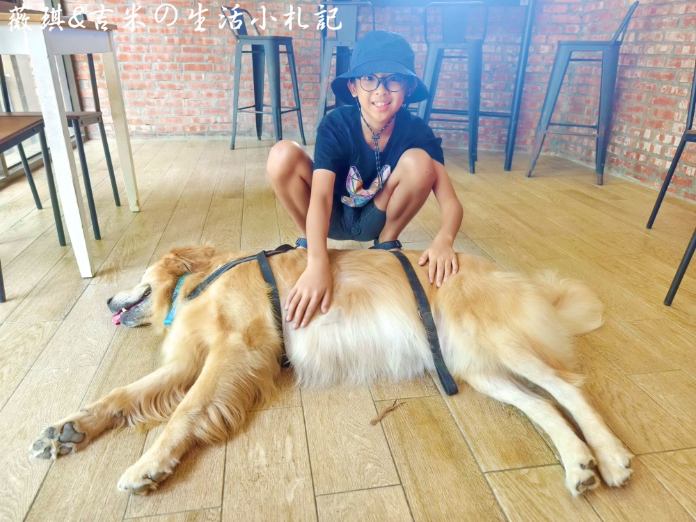 苗栗西湖┃獵犬不打獵鄉林小食光。想嚕狗勾，這邊有九隻大金毛等你來喔!