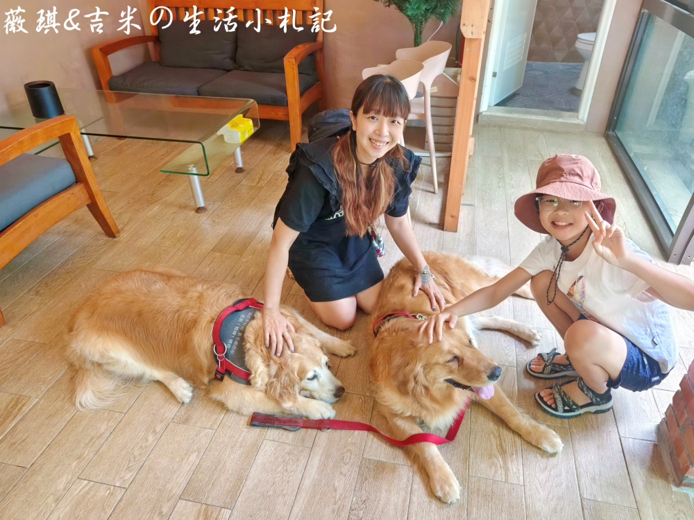 苗栗西湖┃獵犬不打獵鄉林小食光。想嚕狗勾，這邊有九隻大金毛等你來喔!
