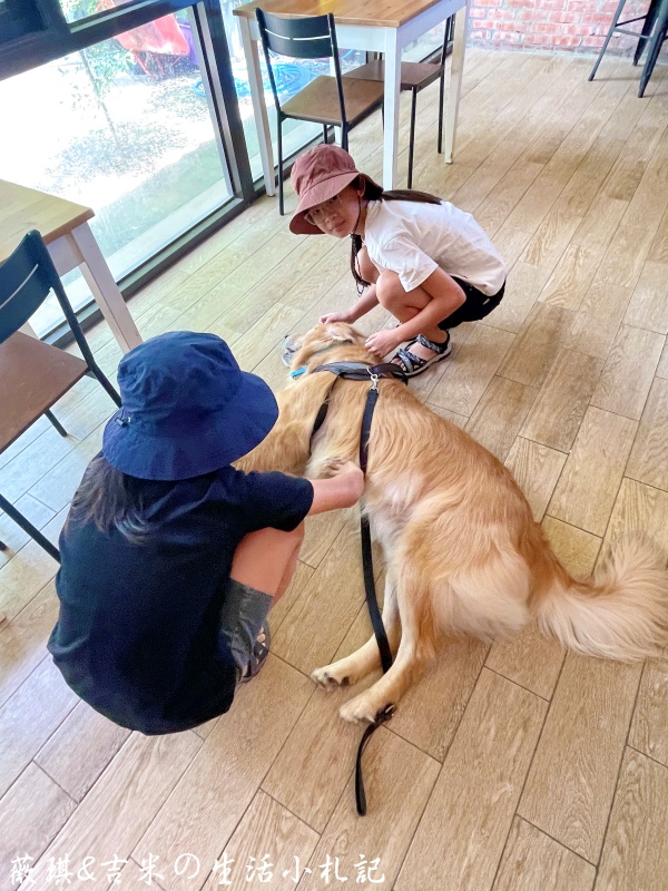 苗栗西湖┃獵犬不打獵鄉林小食光。想嚕狗勾，這邊有九隻大金毛等你來喔!