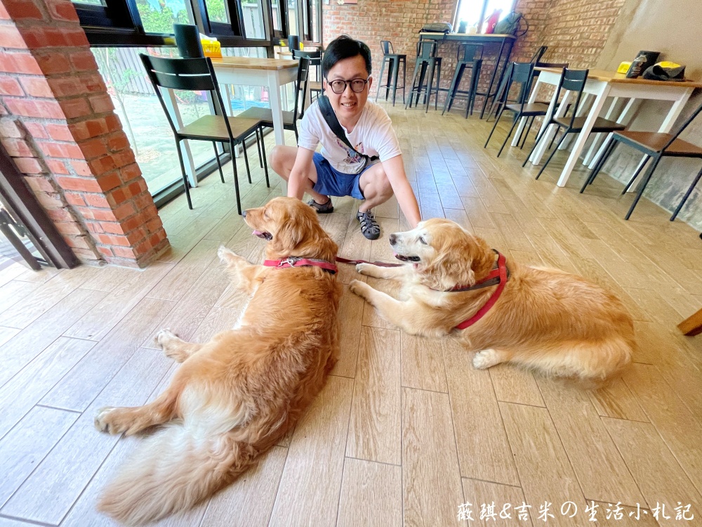 苗栗西湖┃獵犬不打獵鄉林小食光。想嚕狗勾，這邊有九隻大金毛等你來喔!