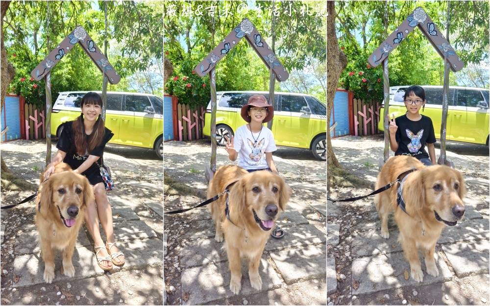 苗栗西湖┃獵犬不打獵鄉林小食光。想嚕狗勾，這邊有九隻大金毛等你來喔!