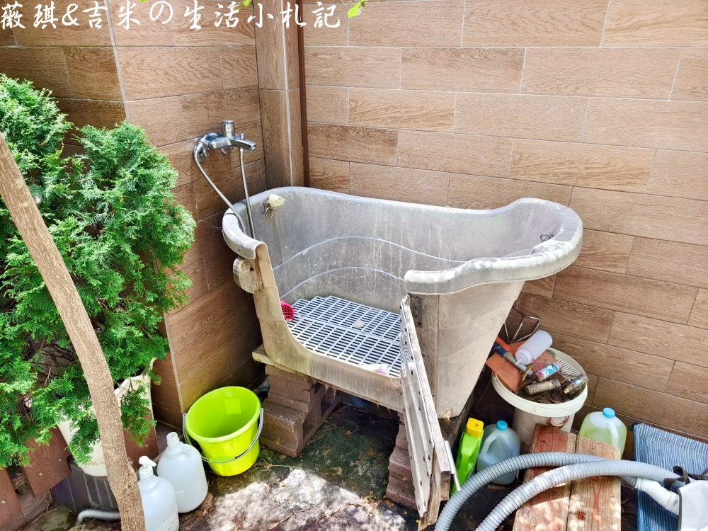 苗栗西湖┃獵犬不打獵鄉林小食光。想嚕狗勾，這邊有九隻大金毛等你來喔!