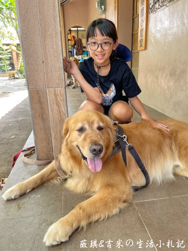 苗栗西湖┃獵犬不打獵鄉林小食光。想嚕狗勾，這邊有九隻大金毛等你來喔!